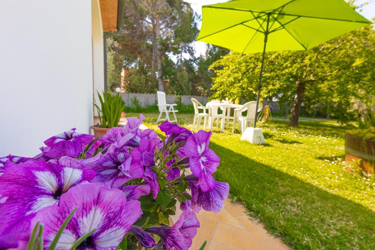 Agriturismo Valle Dei Venti La Sdriscia Zewnętrze zdjęcie